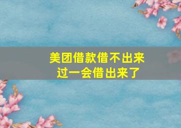 美团借款借不出来 过一会借出来了